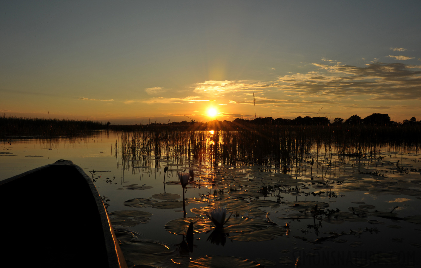 Okavango Delta [28 mm, 1/160 sec at f / 22, ISO 400]